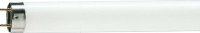 Philips TL 36 Watt kleur 830 120cm super master