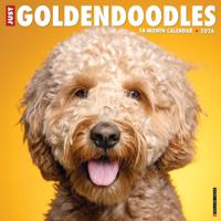Goldendoodle Kalender 2026