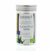 Eucalyptus radiata olie bio - thumbnail