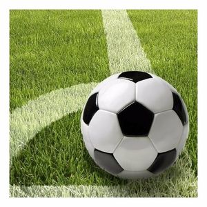 150x Voetbal servetten   -