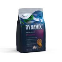 Oase DYNAMIX Sticks Mix 8L - Voedzame Vijvervoeding voor Kleurrijke Vissen Gezondheid