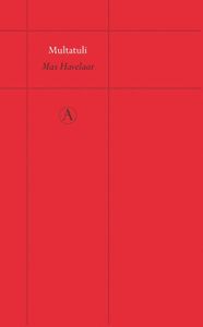 Max Havelaar - Multatuli - ebook