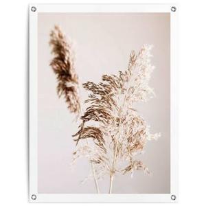 Reinders - Shadow Grass - Tuinposter 80x60cm