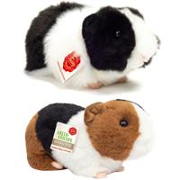 Knuffeldier Cavia set 2x stuks - zachte pluche - premium knuffels - multi kleuren - 20 cm