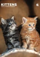 Kittens A3 Kalender 2026