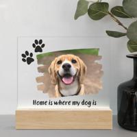 Home is where my dog is - Lamp
