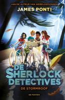 De stormroof - James Ponti - ebook