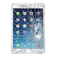 iPad mini 2 Displayglas & Touchscreen Reparatie - Wit - thumbnail