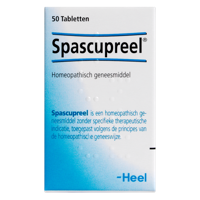 Heel Spascupreel H Tabletten