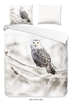 Good Morning Dekbedovertrek Snowy Owl 200 x 200/220 cm + 2 kussenslopen