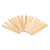 Colorations Large craft sticks 500st
