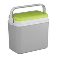Koelbox - grijs/groen - 10 liter - 30 x 19 x 28 cm - eten/drankjes koel houden