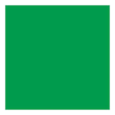 Creativ Company Gekleurd karton gras groen 270gr, 100 vellen