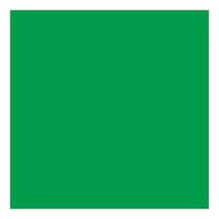 Creativ Company Gekleurd karton gras groen 270gr, 100 vellen
