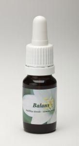 Balans