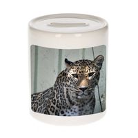 Foto gevlekte jaguar spaarpot 9 cm - Cadeau jaguars liefhebber - Spaarpotten - thumbnail