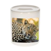 Foto luipaard spaarpot 9 cm - Cadeau jaguars/ luipaarden liefhebber - thumbnail