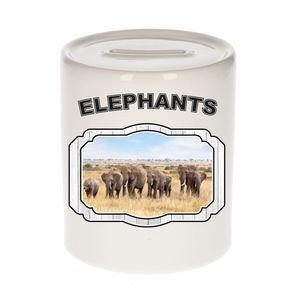 Dieren olifant spaarpot - elephants/ olifanten spaarpotten kinderen 9 cm