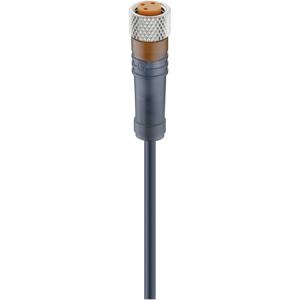 Lumberg Automation 18213-1 Sensor/actuator connector, geassembleerd M8 Aantal polen: 4 Bus, recht 5.00 m 1 stuk(s)