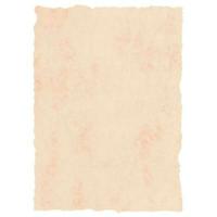 Perkament Michel Beige A4 25 Onderdelen