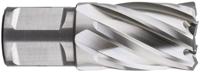 Rotec Kernboor hss silver-line 21.0mm sl30 weldon