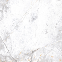 Jabo Golden Age White vloertegel 80x80cm gerectificeerd - thumbnail