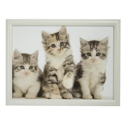 Schoottafel - katten/poezen print - 43 x 32 cm - laptray - schootkussen - schootblad