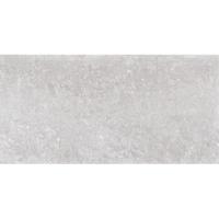 Emil Chateau EFLZ Vloertegel 300X600 Gris 9,5mm Mat Ret.R9,5