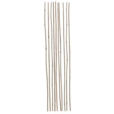 Gerimport Plantenstokken - 10x stuks - 60 cm - plantensteun / tonkinstokken