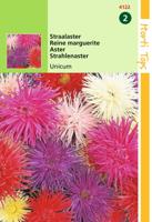 Zaden Callistephus Staalaster Unicum gemengd Hortitops - Hortitops