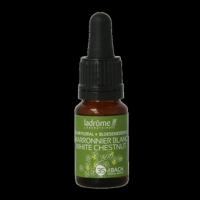 Ladrome White chestnut / paardekastanje bio 10 Milliliter