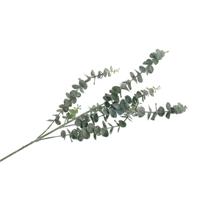 Kunstbloem Eucalyptus tak Real Touch - 88 cm - groen - losse steel - Kunst zijdebloemen   -