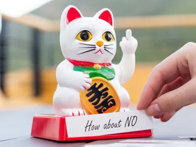 Chinese Gelukskat Cattitude