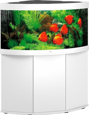 Juwel aquarium Trigon 350 LED met filter wit - Gebr de boon Juwel aquarium Trigon 350 LED met filter wit - Gebr de boon