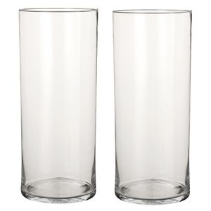 2x Glazen cilinder vaas/vazen 48 cm rond