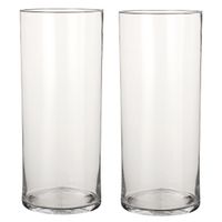 2x Glazen cilinder vaas/vazen 48 cm rond