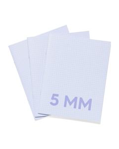 HEMA Schriften Blauw A5 Geruit 5mm - 3 Stuks