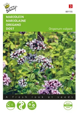 Buzzy® Marjolein Oregano Zaden