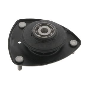 Veerpootvoering 31495