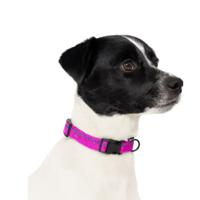 Jack and Vanilla Hondenhalsband - Nylon - Kliksluiting - Roze - 35 cm
