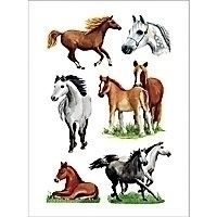 HERMA DECOR stickers horse races 3 sheets etiket