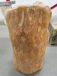 Versteend hout C35
