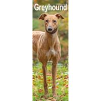 Greyhound Kalender 2026 Slimline
