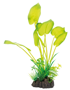 Superfish Art Plant Echinodorus: Kunstplant voor Aquarium 25cm - Onderhoudsvrij & Veilig