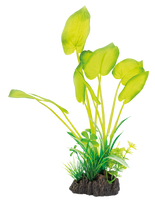 Superfish Art Plant Echinodorus: Kunstplant voor Aquarium 25cm - Onderhoudsvrij & Veilig