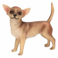Bruine Chihuahua decoratie beeldje 10 cm   -