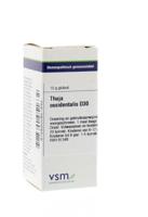 VSM Thuja occidentalis D30 10 Gram