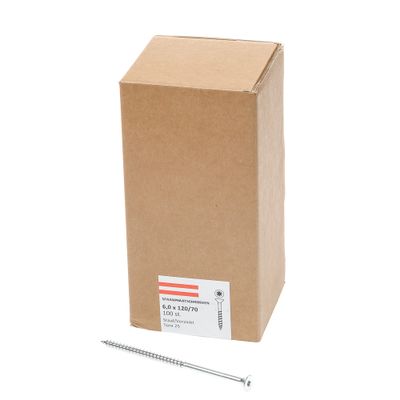 Spaanpl.schr.vz pk tx25 6.0X120/70 dd