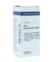 VSM Rhus toxicodendron LM18 4 Gram