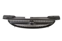 Radiateurgrille 6502071135991P